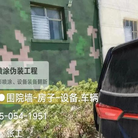 株洲数码迷彩漆施工